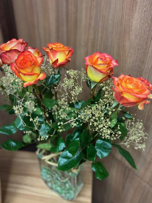 VÍTÁNÍ OBČÁNKŮ